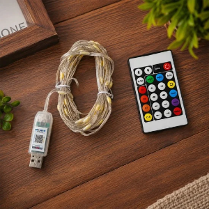 USB RGB LED Festival String Lights with Remote Control