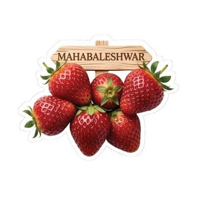 Durable Clear Acrylic Fridge Magnet | Strong Refrigerator Photo & Craft Display