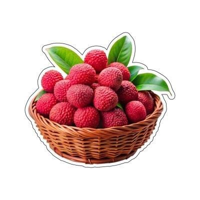 Premium Acrylic Fridge Magnet – High-Gloss Die-Cut Decorative Magnet for Lockers, Fridges & Office